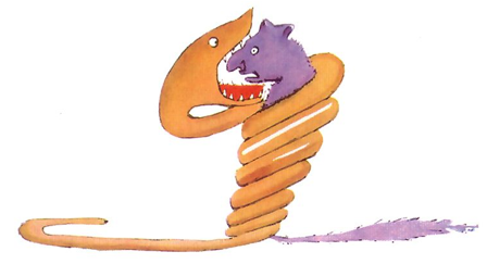 Image of the boa constrictor.